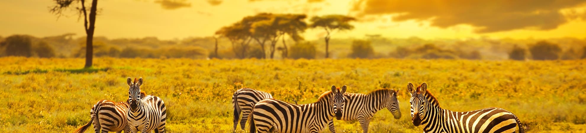 Un périple plein d’aventures sur le territoire tanzanien