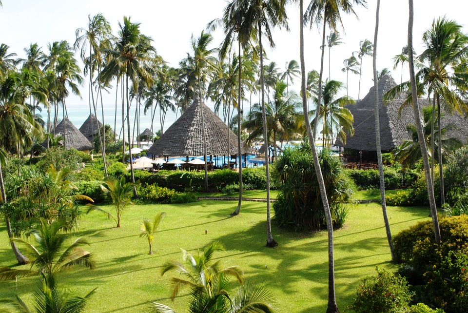 Zanzibar : les activités à faire lors d’un voyage sur l’île aux épices