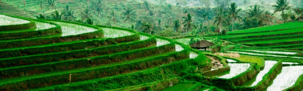 Des idées de lieux à visiter sur l’île des dieux, Bali