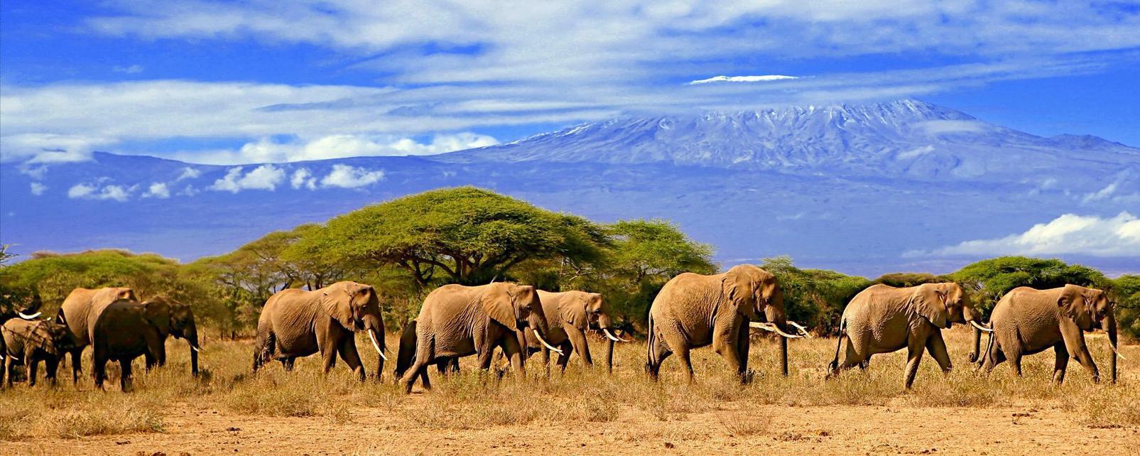 Tanzanie, faire du safari autrement