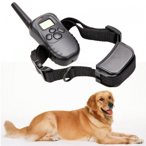 Le dressage du chien : guide et astuces.
