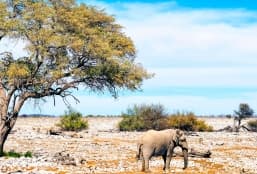 La Namibie, une destination étonnement familiale