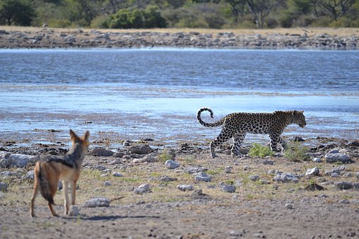 Des vacances sensationnelles en Namibie