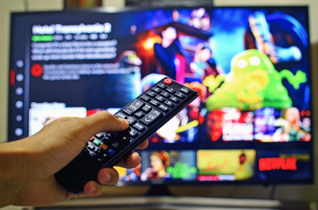 Le web tv, un meilleur partage d’information et participation des citoyens
