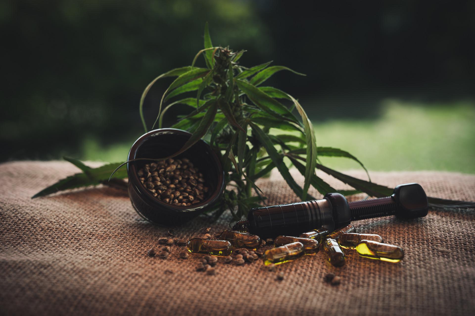 La consommation de CBD en France
