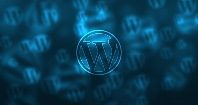 Le Développeur WordPress Freelance en Tunisie