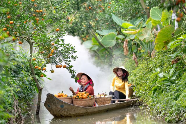 Où passer ses vacances au Vietnam en décembre 5 idées de voyage